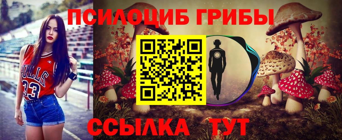 Томск  Галлюциногенные грибы Psilocybe  Вход с VPN 