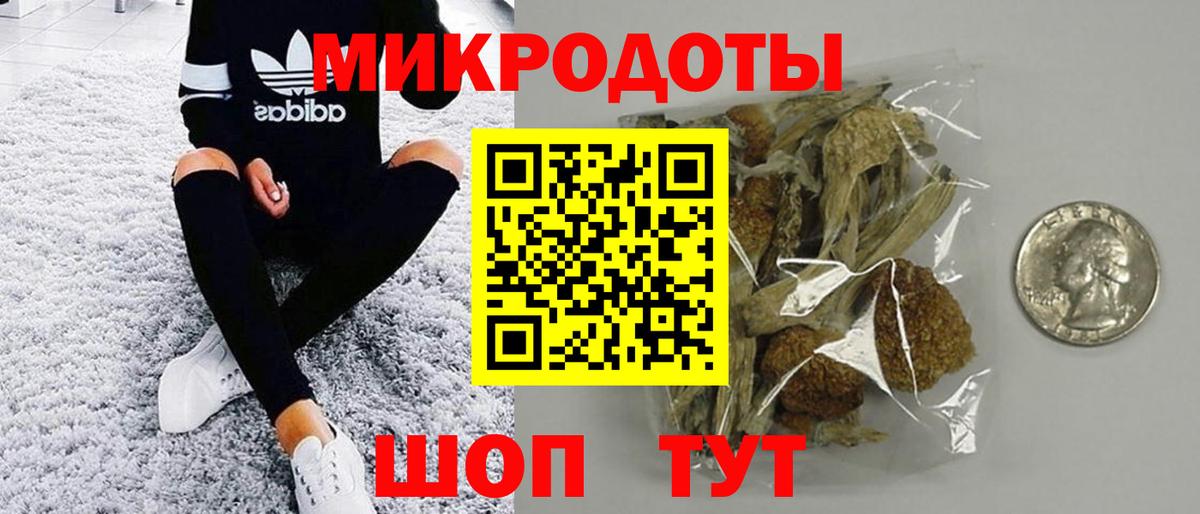 Псилоцибиновые грибы Psilocybe Томск
